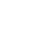 Immediate Visionex - Multiple Currencies