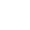Immediate Visionex - Easy Setup
